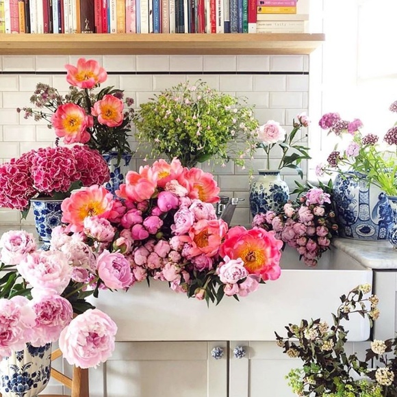 Meet your Posher, Patricia - Picture 1 of 1